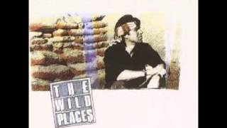 Watch Dan Fogelberg The Wild Places video
