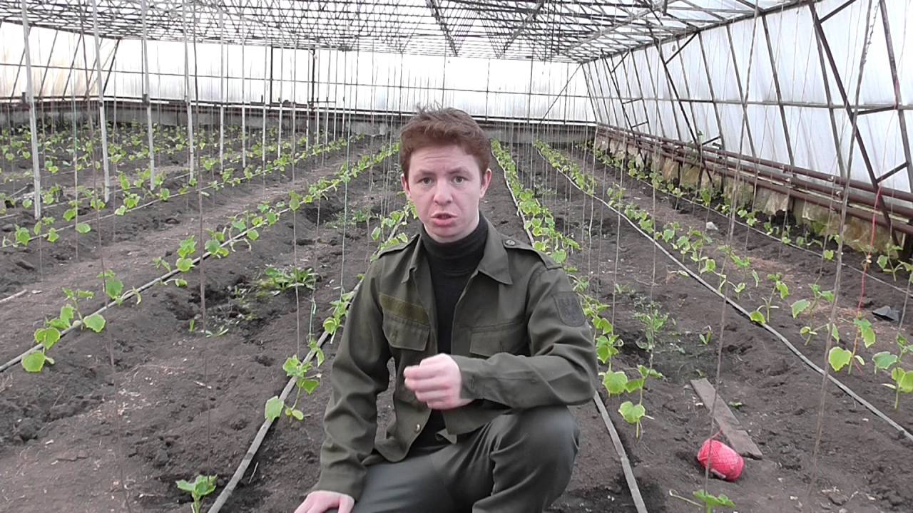 Открытки с днем рождения девочки 13 лет 85