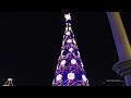 dlrpmagicvideo