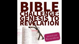 The Bible Challenge: "Overview" Week 1