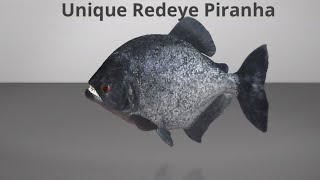 Fishing Planet Unique Redeye Piranha Marron River