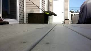 Havlayan Köpek Isırmaz Oğluummm Kendine Müzisyen