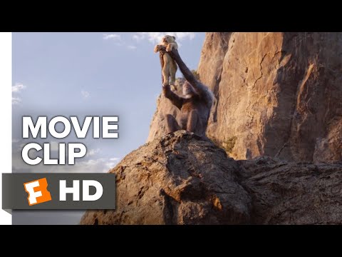 The Lion King Movie Clip - Circle of Life (2019) | Movieclips Coming Soon