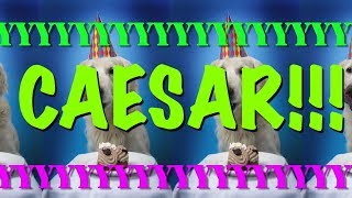 Watch Caesar Happy video