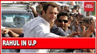 Rahul Gandhi In Amethi, U.P | Nomination Papers Accepted