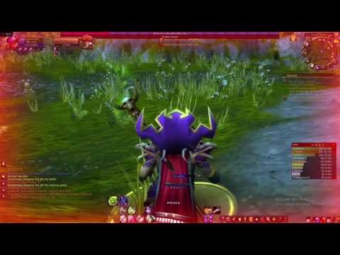 19 warrior twink gear guide bottle
