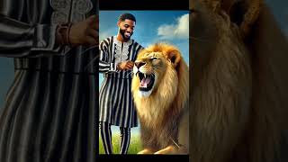 Unbelievable Bond Tiv Man Playing With A Majestic Lion