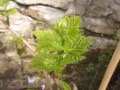 Weingut Jochen Mayer - Präsentation eines Weinjahr