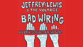 Watch Jeffrey Lewis  The Voltage Depression Despair video