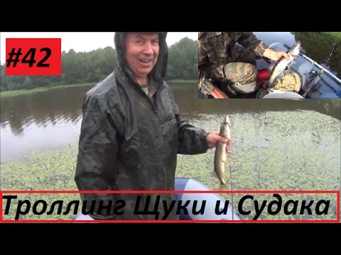 троллинг щуки и судака на реке троллинг щуки и судака на реке