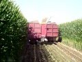 COELHO CUSTOM CHOPPING (chopping corn)