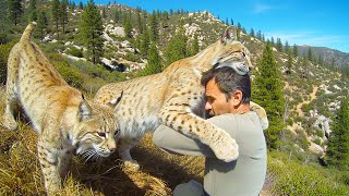 Bobcat Recognizes The Man Who Once Saved Herthen Brings A Shocking Surprise