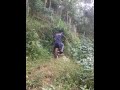 image Abg Kepergok Mesum Dihutan