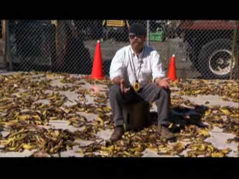 MythBusters - Banana Peel Slip