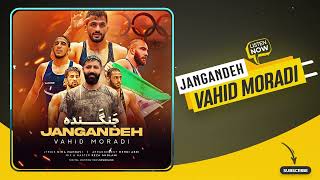 Vahid Moradi - Jangande Official Audio وحید مرادی - جنگنده