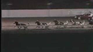 Breeders Crown 1984 2YRCP -- USTA Harness Racing