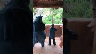 Harry Shaking His Booty With Baloo And King Louie