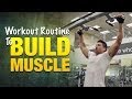 Workout Routine To Build Muscle: Build Bigger Arms, Legs, And Back Muscles With This Workout Plan