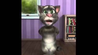 Erzurumlu Kedi Tom