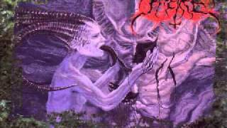 Watch Taetre The Halls Have Eyes video
