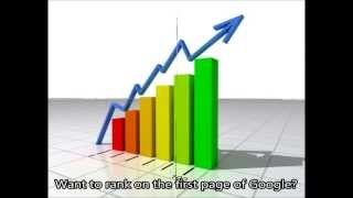 Affordable SEO Services & Social Media to Rank in Google