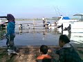 image Penampakan Ular Berkepala Manusia Di Pantai Marina Semarang