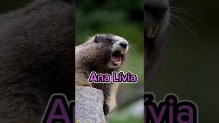 Cadê Você Ana Lívia?