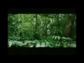 Apocalypto Movie 2 images Apocalypto Movie 2