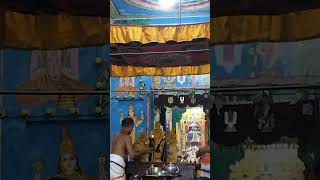 Sri Adhikesava Perumal Majajaappu Thirumanjanam In Vanamamalaimutt This Morning