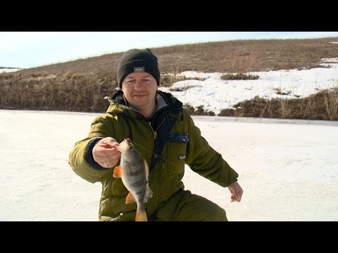 эфиры рыбак рыбаку эфиры рыбак рыбаку
