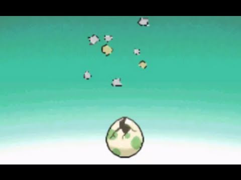 Pokemon Black and White Mystery Egg Event (All 3 Eggs) - YouTube