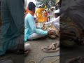 पखवाज किरण सोळंके तुकोबाराय संगीत विघालय जवळा येथील विद्यार्थी फुगडी खेळतांना
