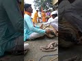 पखवाज किरण सोळंके तुकोबाराय संगीत विघालय जवळा येथील विद्यार्थी फुगडी खेळतांना