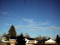 my kids flying their kites