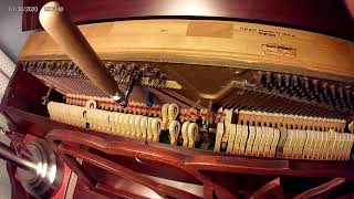 Hear Piano Note B2 Fast Beat