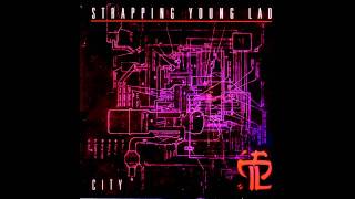 Watch Strapping Young Lad Velvet Kevorkian video