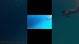 Disha Patani Bikini Disha Patani Hot Swimming Disha Patani Pool Fun With Fish