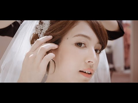 すべての動画
