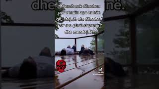 Fjal Të Urta - Shqip
