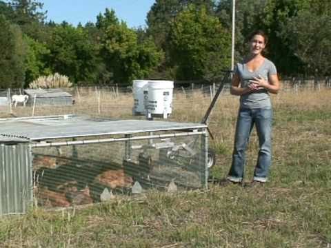 Chicken Tractors at Silva Star Farms - YouTube