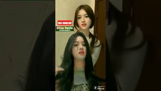 Elina Devia Duo Bunglon Penerus Dua Serigala