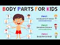 Body Parts For Kids | Learn Parts Of The Body | Body Part Quiz | ESL Kids | 4K
