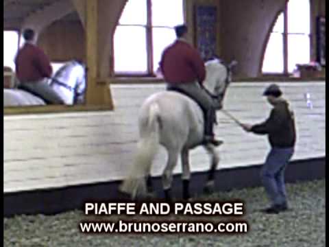Passage / Piaffe Bruno Serrano Passage / Piaffe Bruno Serrano
