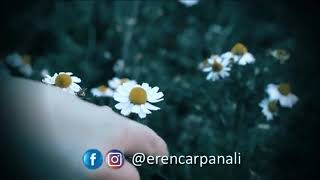 Durum Ucun Videolar
