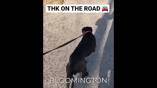 Apbt Bloomington Tx