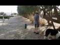 RV LIFE - Desert Pools RV Resort Tour part 1