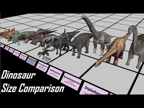 Dinosaur Sizes Comparison Chart