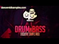 Drum N Bass Samples Vol 1 Exclusive
