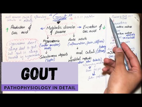 Gout Pathophysiology in detail. (Hindi/Urdu)