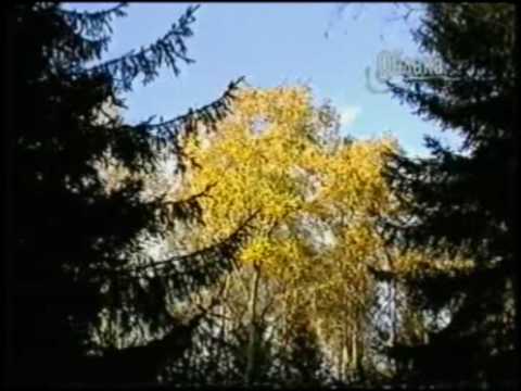 ЛЕНПЕХ - ЛУЧШЕ ВСЕХ! Иосиф Бродский. Стихотворения и поэмы (основное собрание)